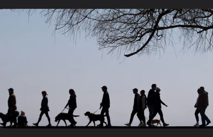 امید به زندگی در کانادا افزایش یافت